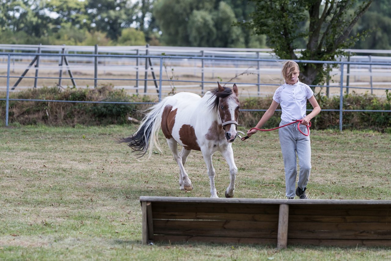 Bild 31 - Pony Akademie Turnier